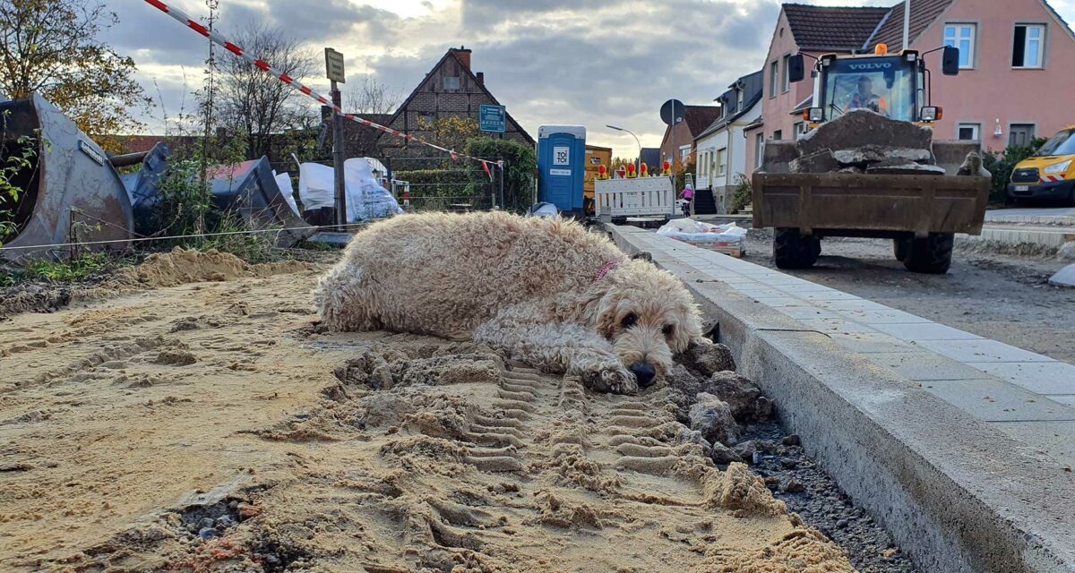 tiergestütztes kinderhospiz gut feismann ggmbh fotos